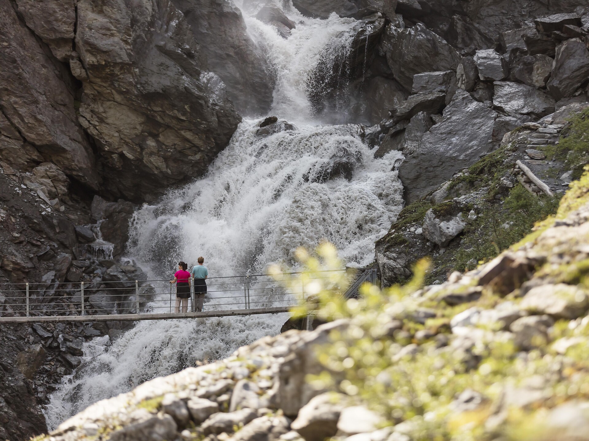 Il fascino delle montagne-Escursione guidata nel ParcoNazionale dello Stelvio - Val Venosta - #1 - suedtirol.info