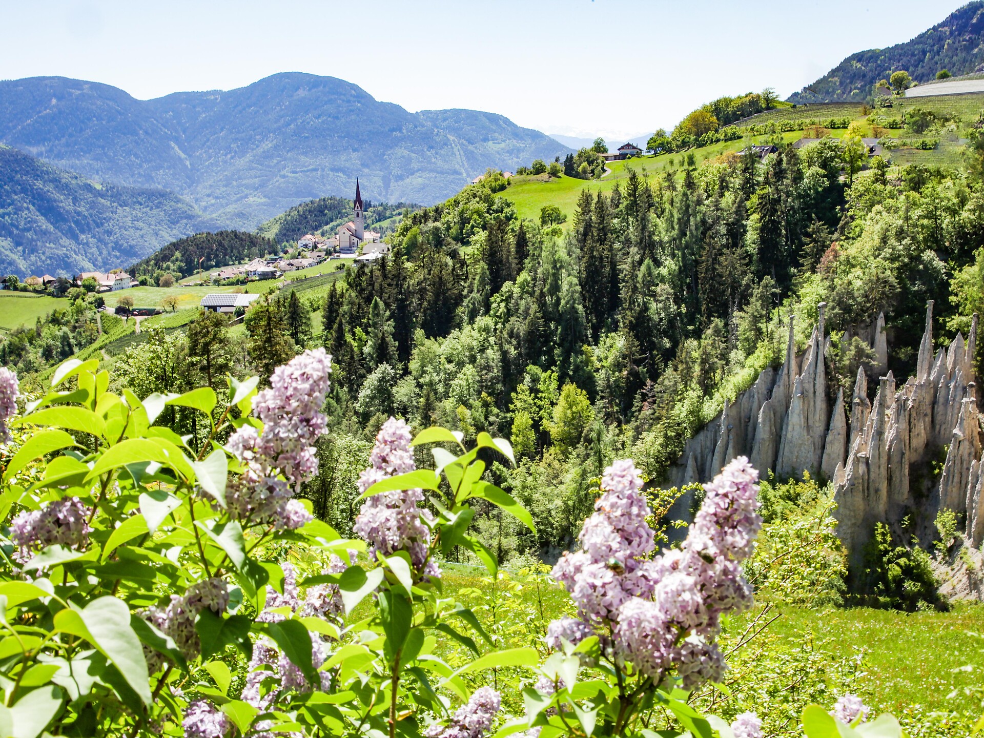 Frühlingswanderung am Ritten mit den Erdpyramiden - Meran und Umgebung - #1 - suedtirol.info