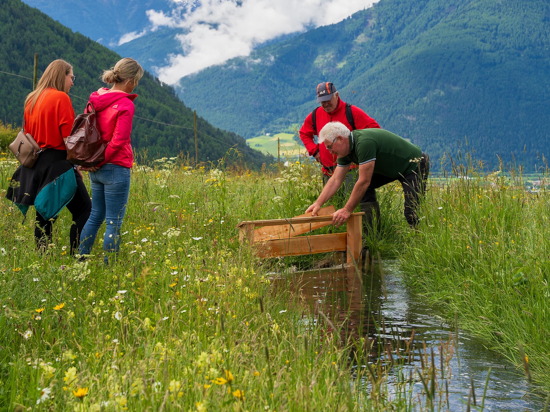 Führung Wiesenwassern und Wiesenvögel auf der Malser Haide - Vinschgau - #2 - suedtirol.info