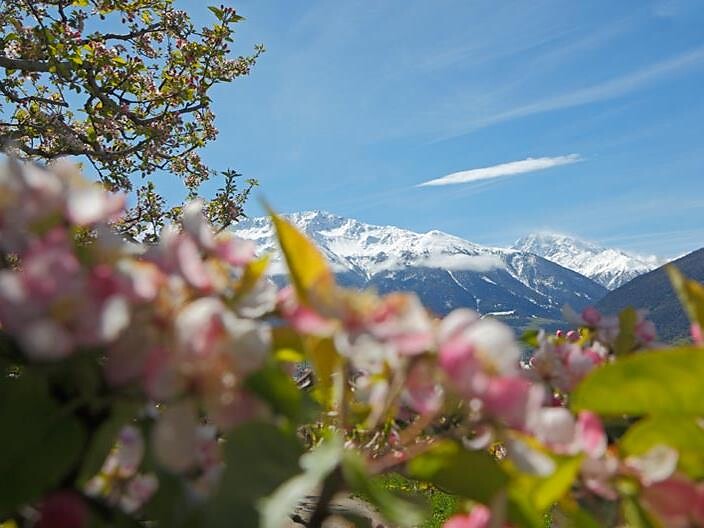 Frühlingswanderung im Nationalpark Stilfserjoch - Vinschgau - #1 - suedtirol.info
