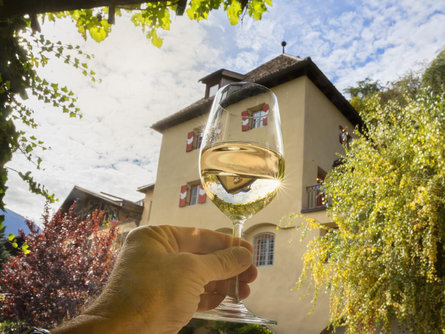 Degustazione di vini e visita guidata all'azienda vinicola "Köfelgut" Castelbello-Ciardes 1 suedtirol.info
