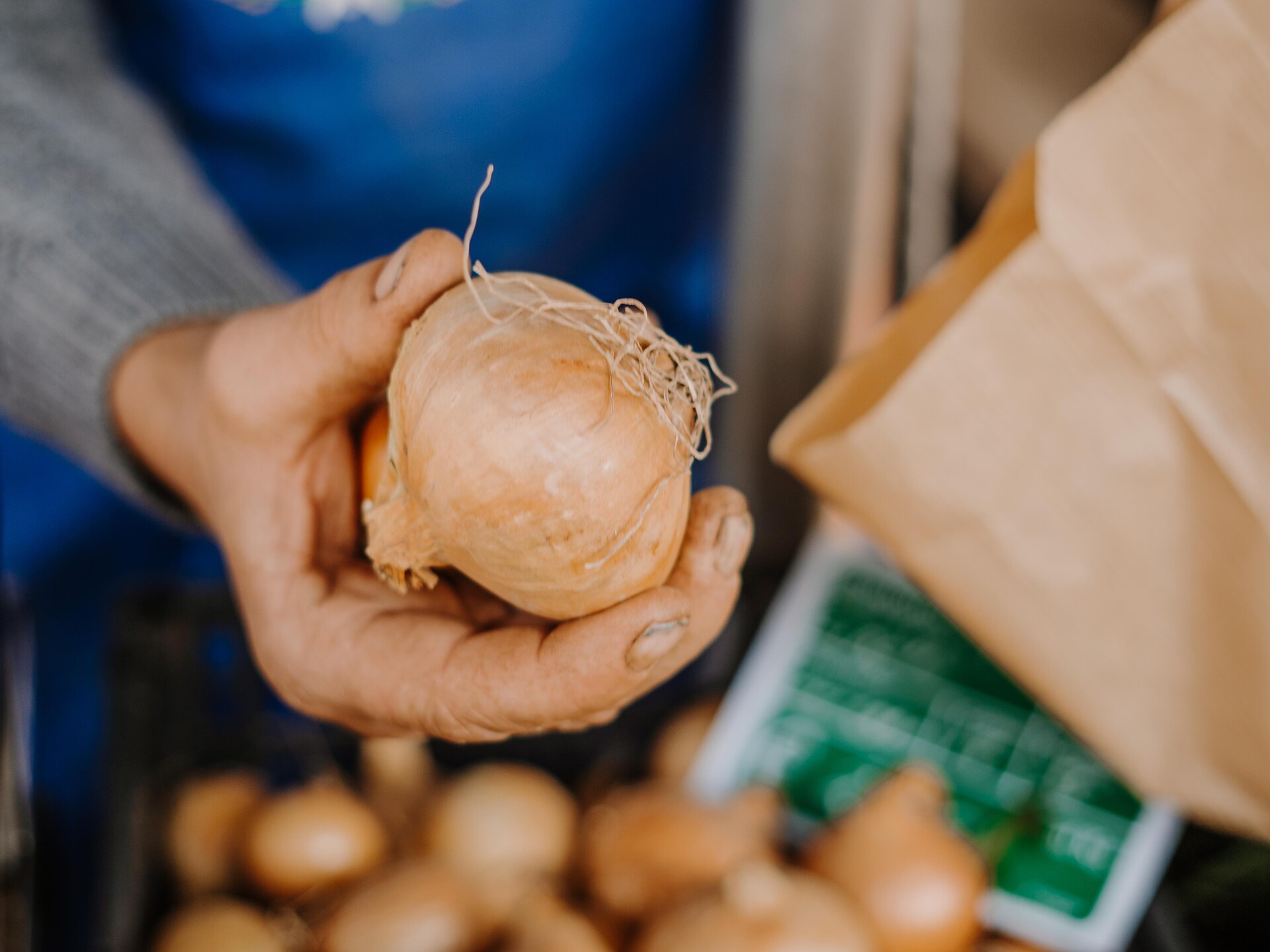 Mercato venerdì mattina Lana 2 suedtirol.info