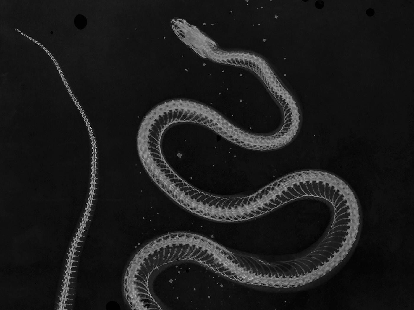 Foto Forum - In the Shadow, Similar or Like a Dream - Bolzano/Bozen and environs - #1 - suedtirol.info