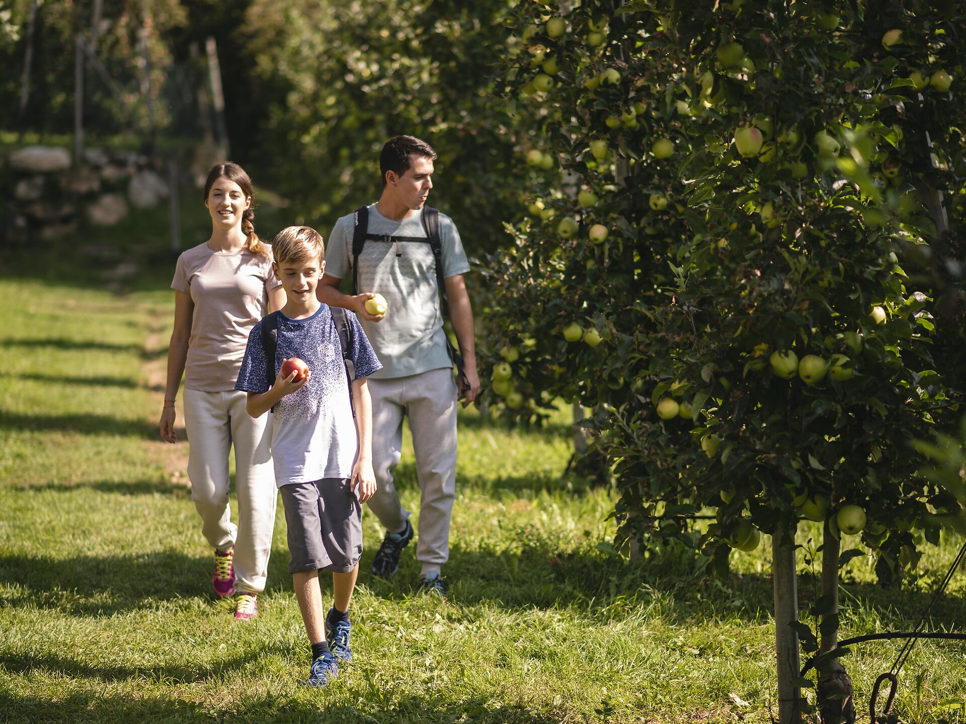 Guided tour through the apple plantages in Marling Marling/Marlengo 2 suedtirol.info