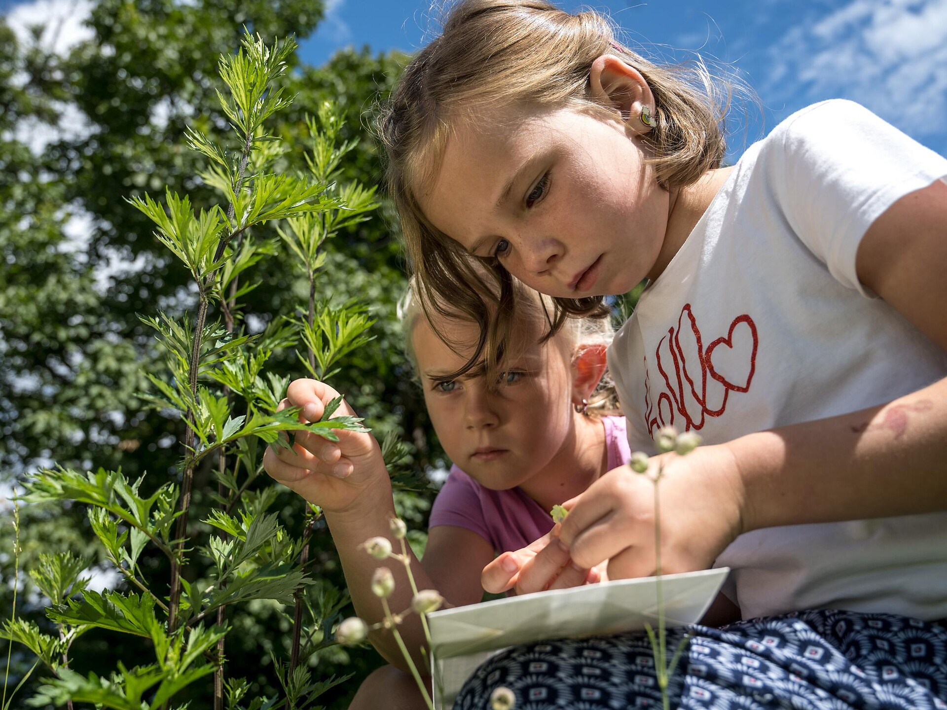 Programma per famiglie: Laboratorio naturalistico creativo Scena 1 suedtirol.info