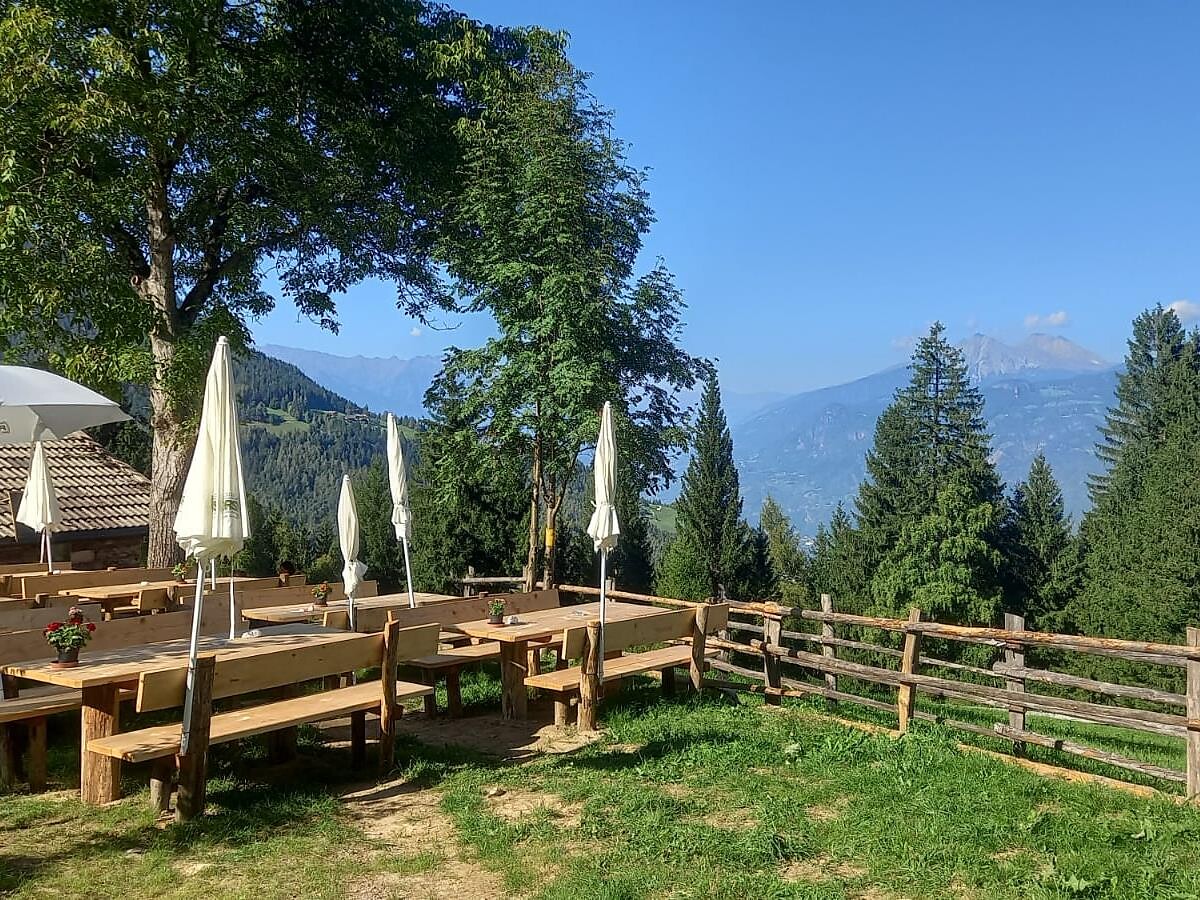 Frühlingswanderung zur Schmiedlalm in Grissian (TESANA) - Meran und Umgebung - #1 - suedtirol.info