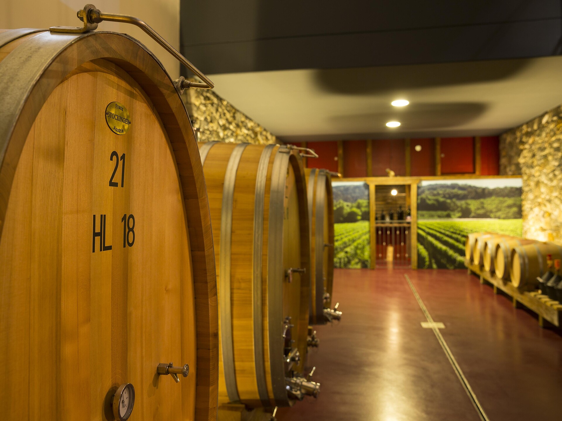 The fascination of wine: wine cellar tour at the Plonerhof winery Marling/Marlengo 1 suedtirol.info