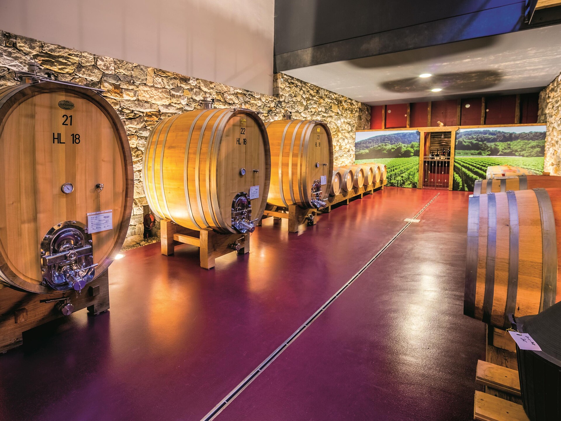 The fascination of wine: wine cellar tour at the Plonerhof winery Marling/Marlengo 3 suedtirol.info