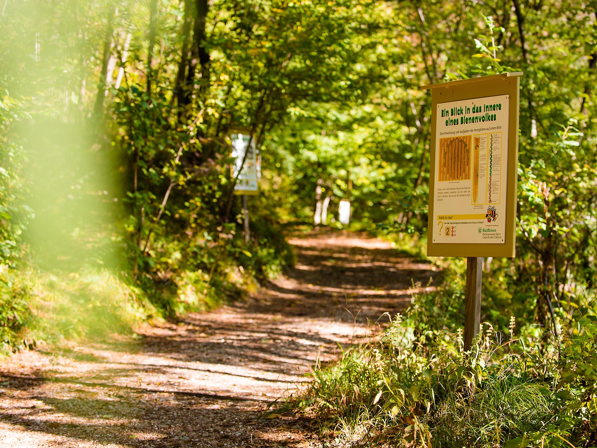 Führungen am Bienenlehrpfad Tramin - Südtiroler Weinstraße - #2 - suedtirol.info