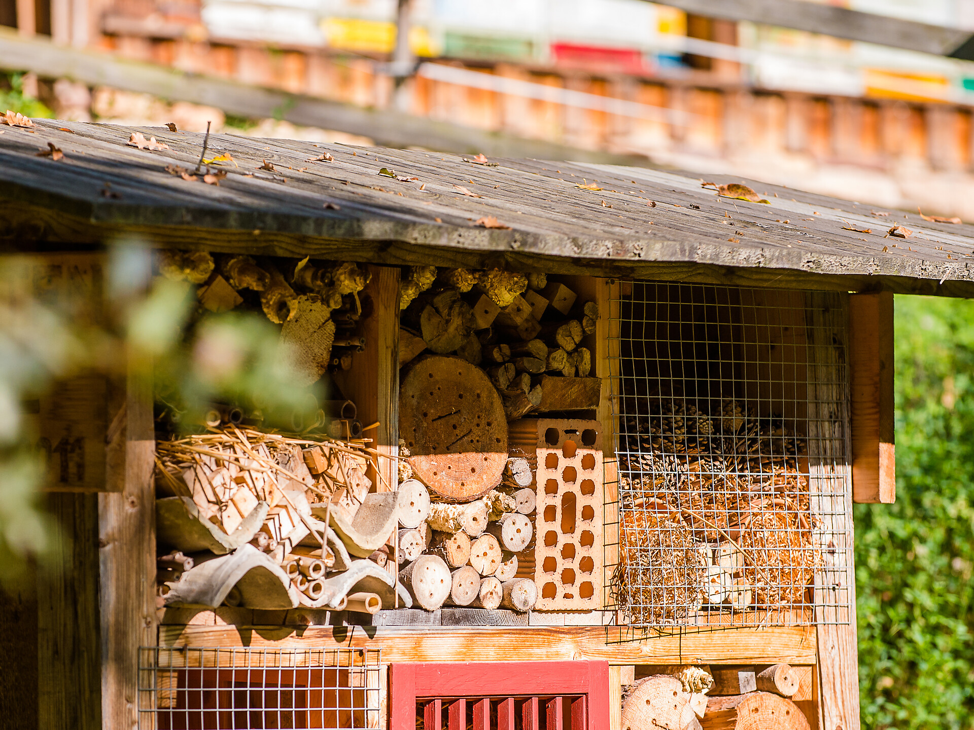 Führungen am Bienenlehrpfad Tramin - Südtiroler Weinstraße - #1 - suedtirol.info