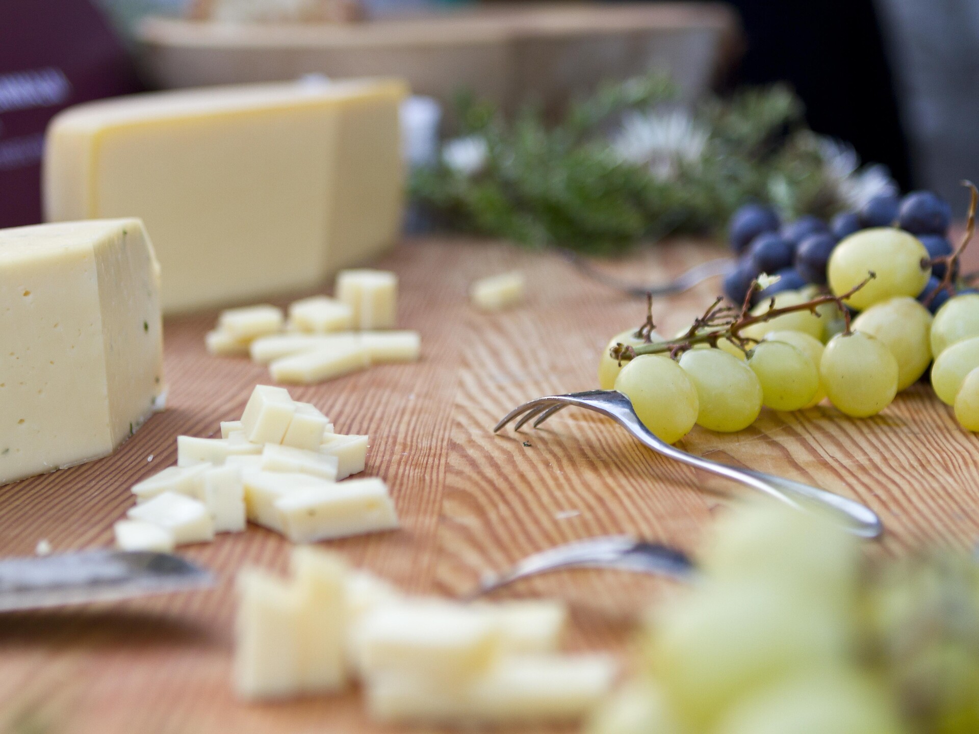 Führungen durch die Geschichte der Bio-Dorfsennerei mit Käseverkostung - Vinschgau - #1 - suedtirol.info