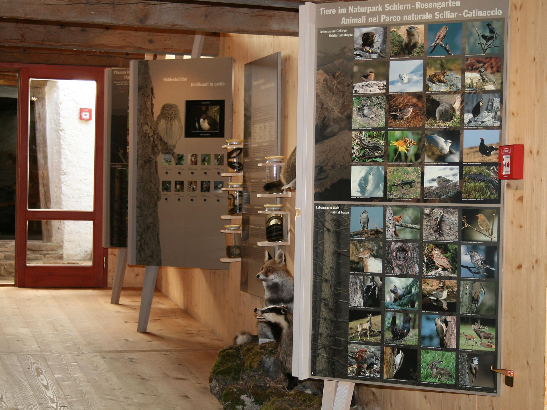 Visita guidata attraverso l'Info Parco - Regione dolomitica Alpe di Siusi - #3 - suedtirol.info