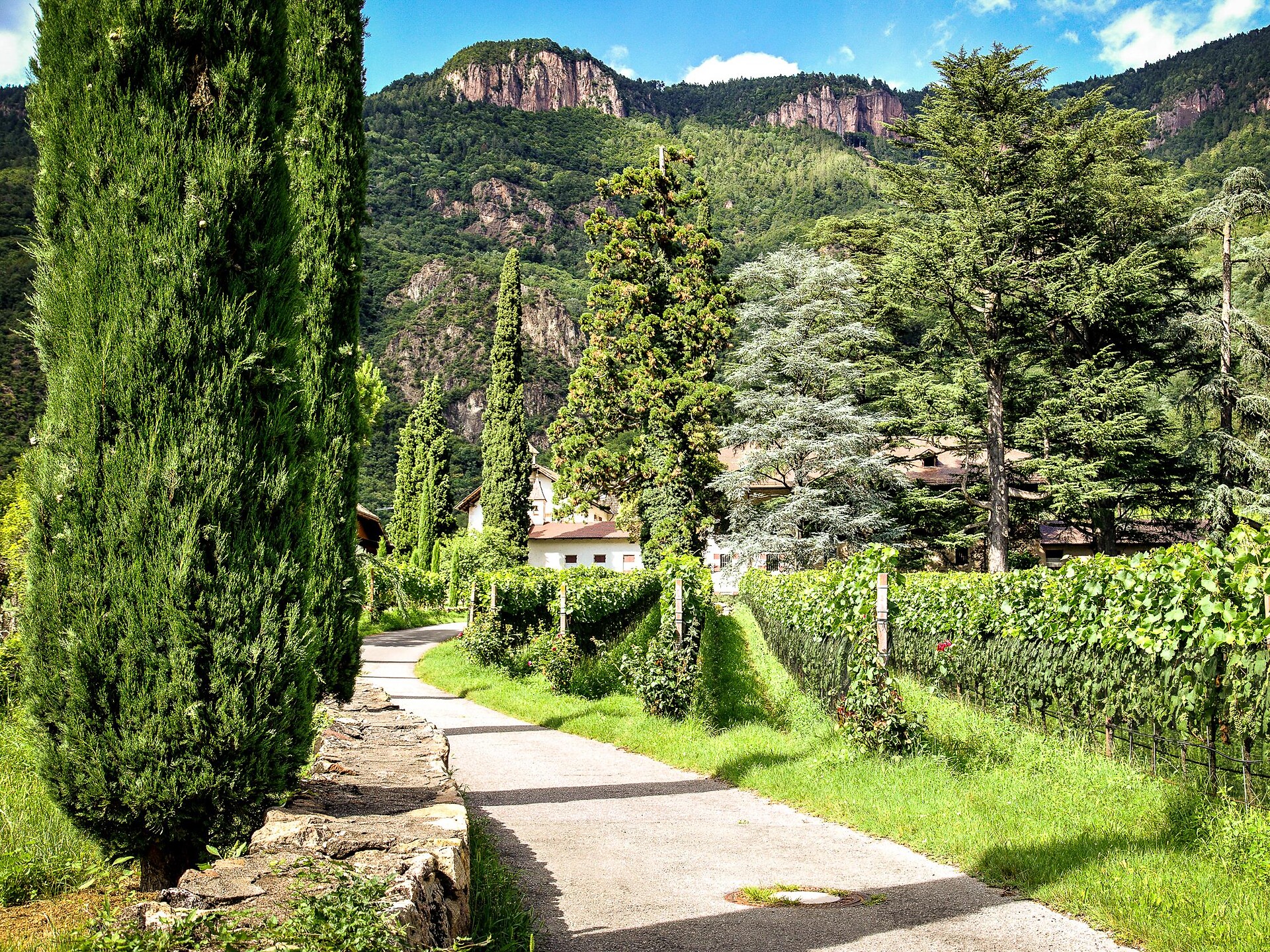 Guided tour of Terlan's wine path Terlan/Terlano 2 suedtirol.info