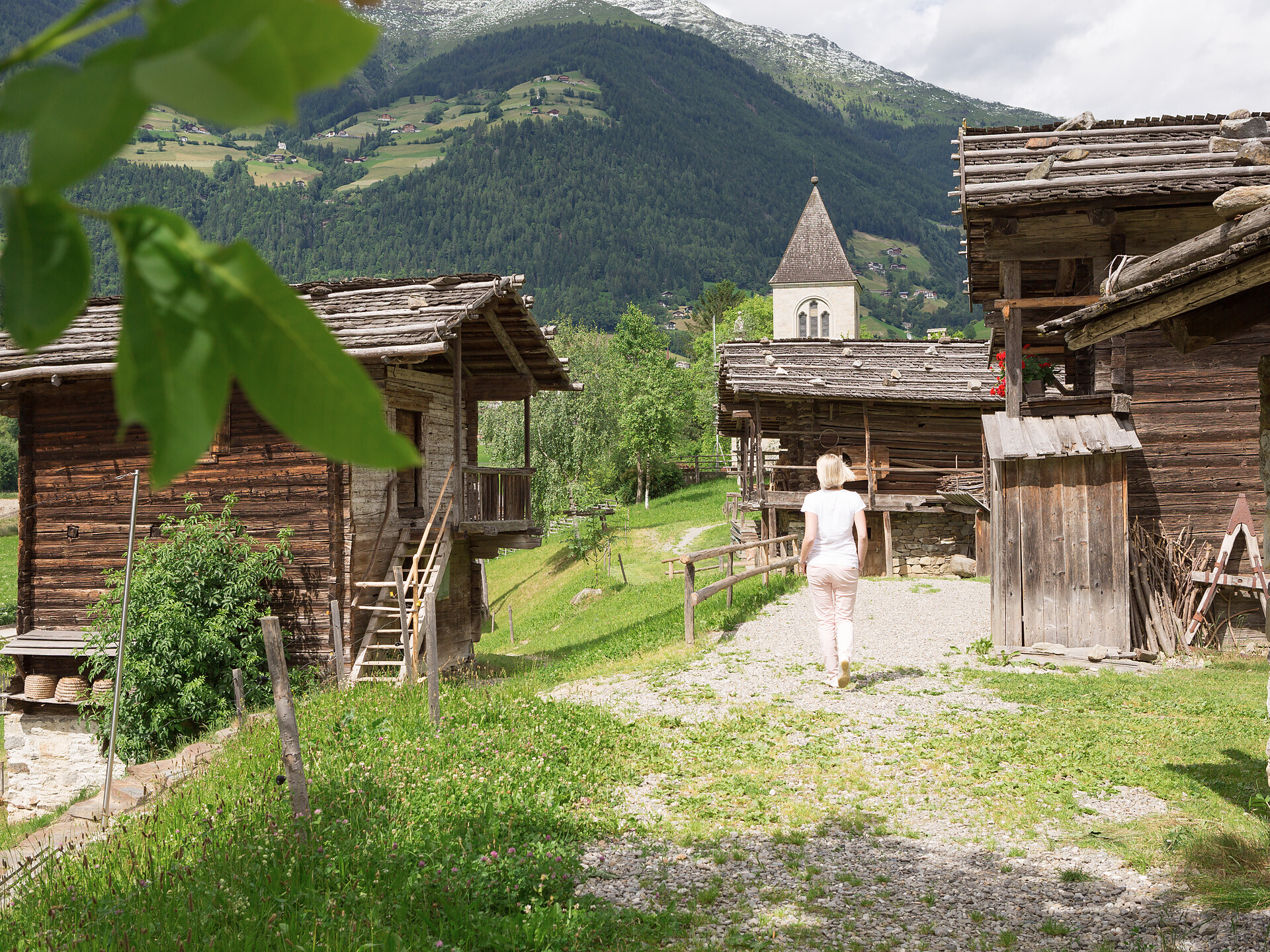 Outdoor tour - Meran/Merano and environs - #1 - suedtirol.info