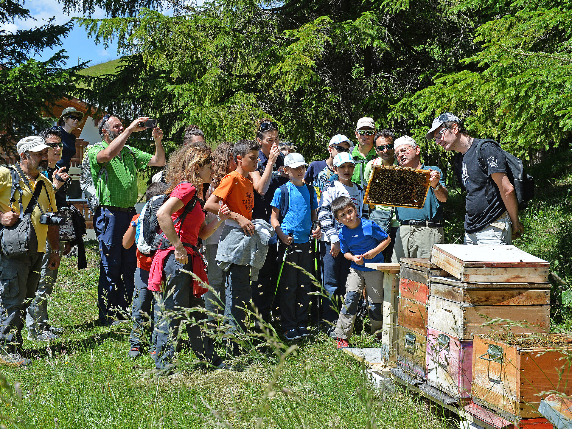 Passeggiata in famiglia con visita ad un alveare Selva 3 suedtirol.info