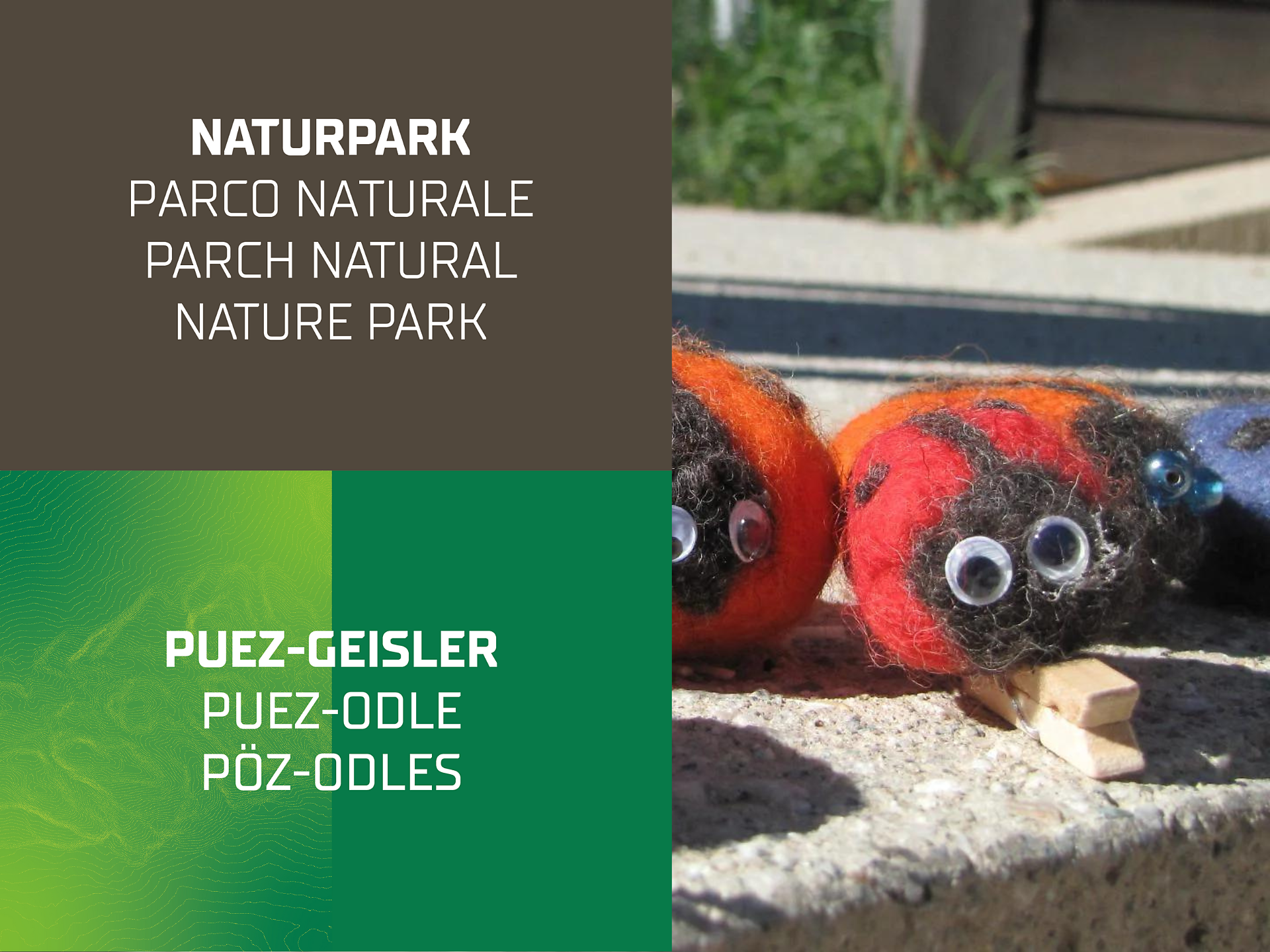 Filznachmittag im Naturparkhaus Puez-Geisler Villnöss 1 suedtirol.info