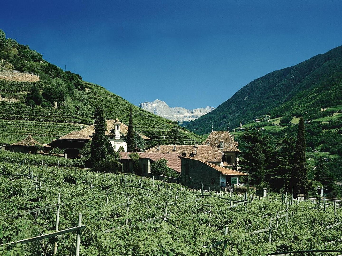 Guided tour & wine tasting – Ansitz Waldgries Manor (1242) Ritten/Renon 3 suedtirol.info