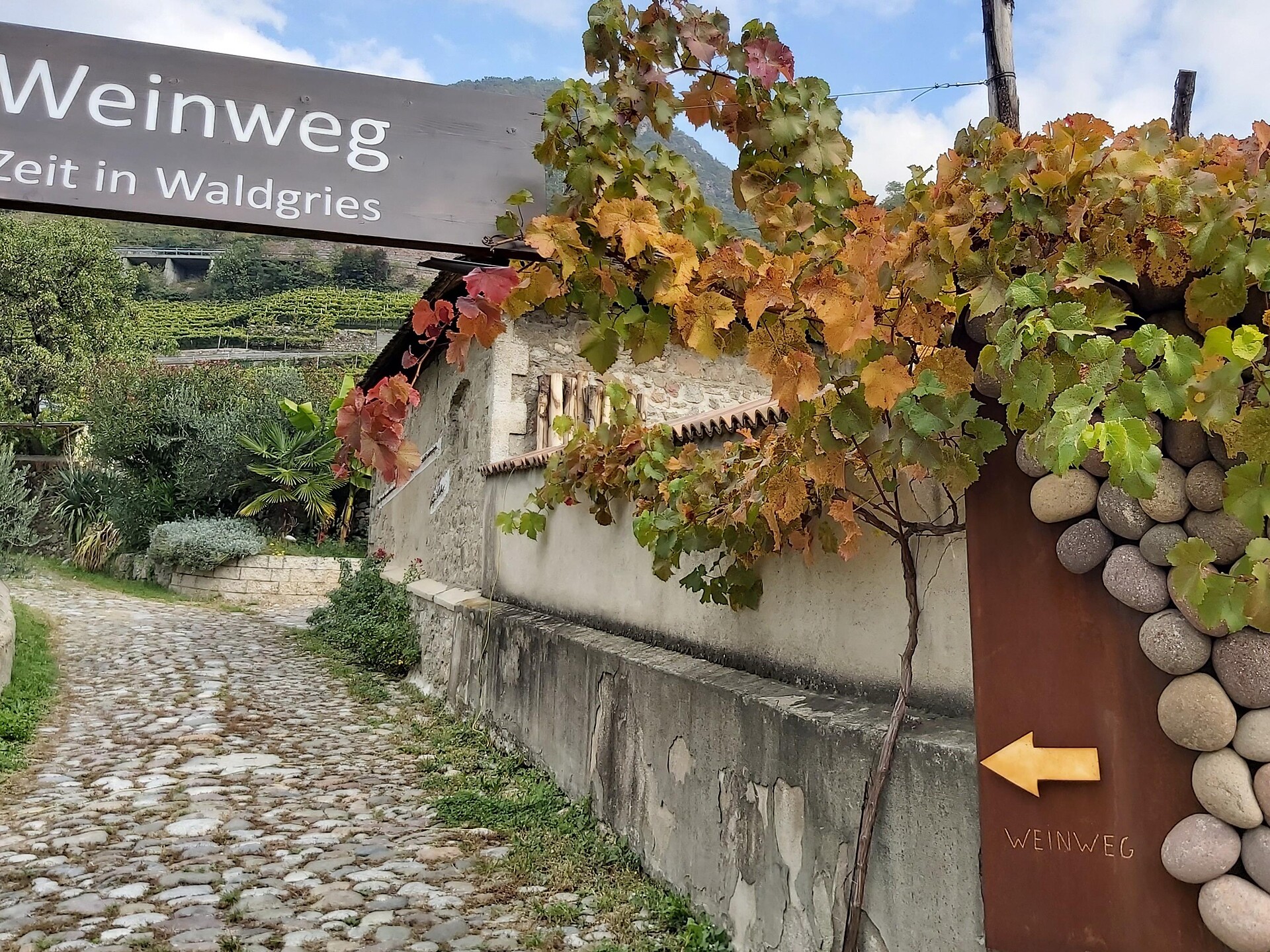 Guided tour & wine tasting – Ansitz Waldgries Manor (1242) Ritten/Renon 1 suedtirol.info