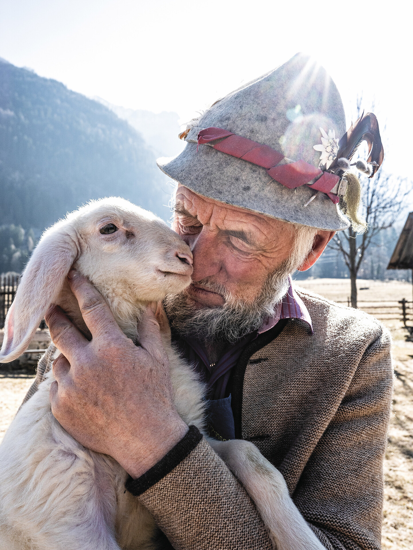 Führung "Vom Schaf zur Wolle" mit Mittagessen - Meran und Umgebung - #1 - suedtirol.info