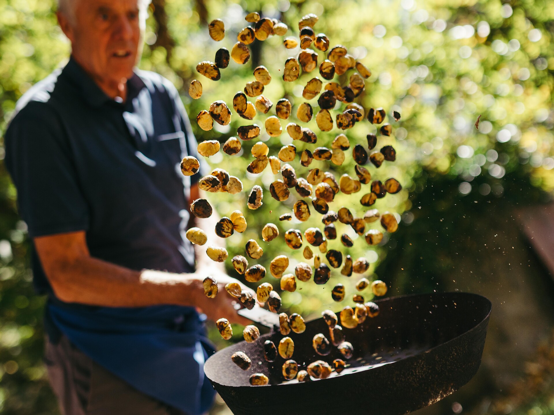Escursione alla scoperta delle castagne a Ciardes - Val Venosta - #2 - suedtirol.info