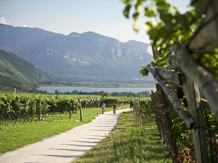 Escursione guidata: Alta Via di Caldaro - Merano e dintorni - #3 - suedtirol.info