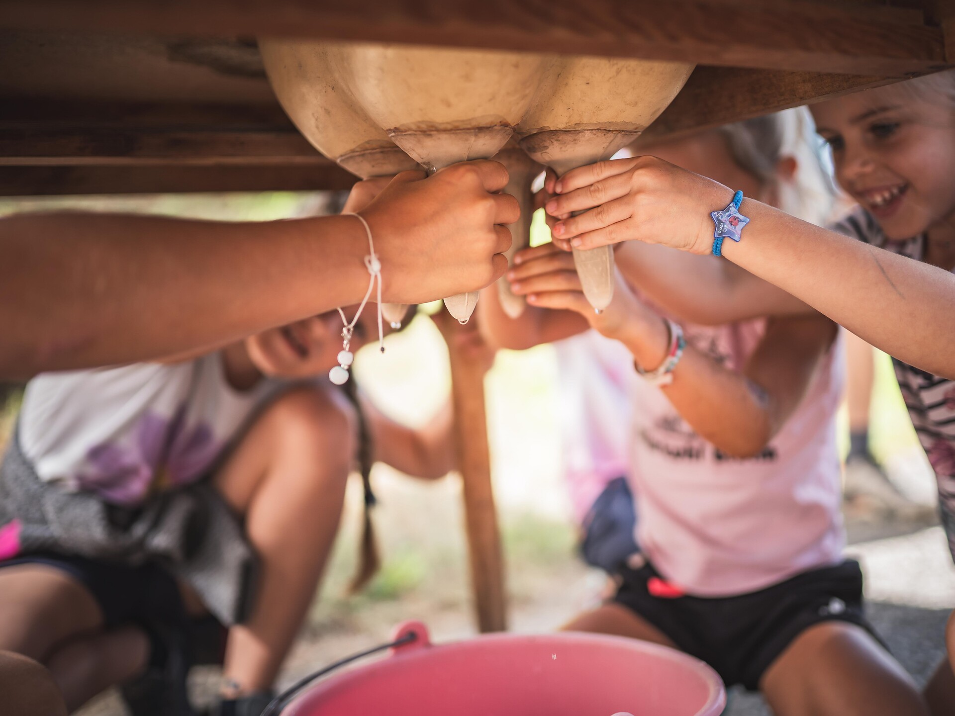Focus on the family: experience life on the farm first hand - Brixen/Bressanone and environs - #2 - suedtirol.info