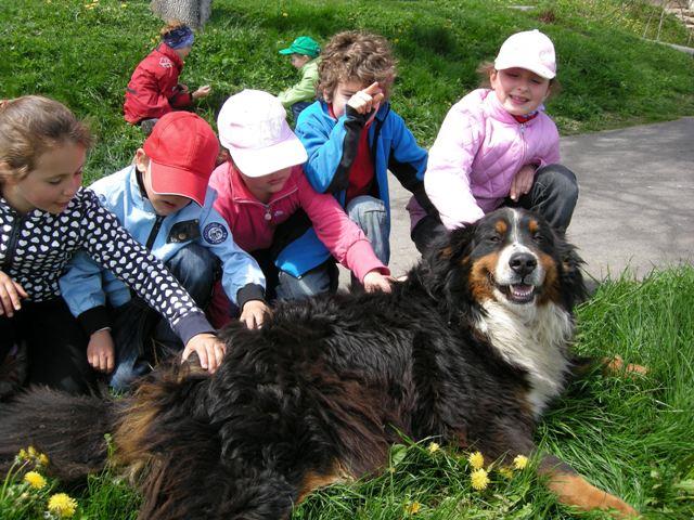 Focus on the family: experience life on the farm first hand Villanders/Villandro 2 suedtirol.info