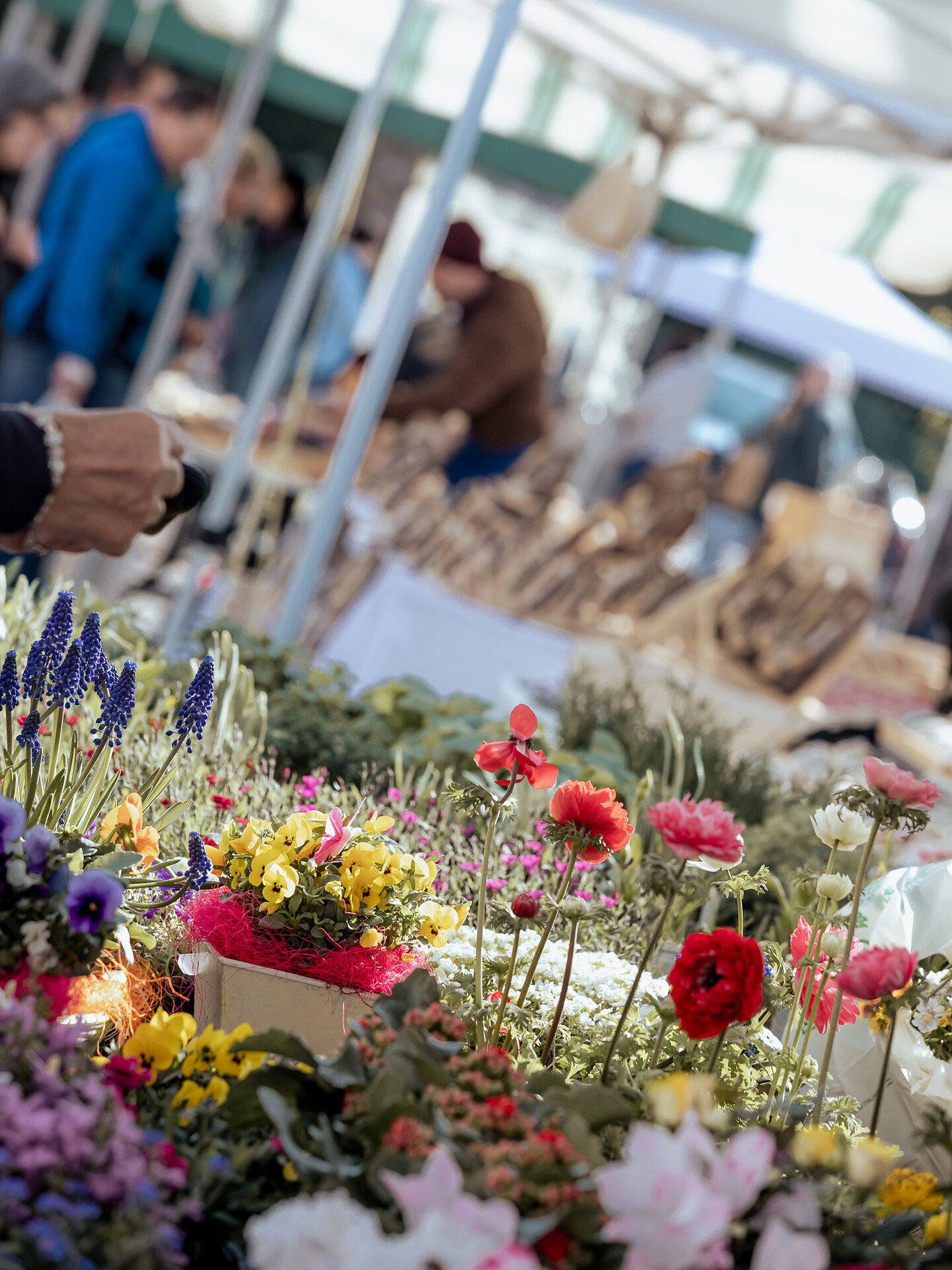 Festa di primavera - Merano e dintorni - #2 - suedtirol.info