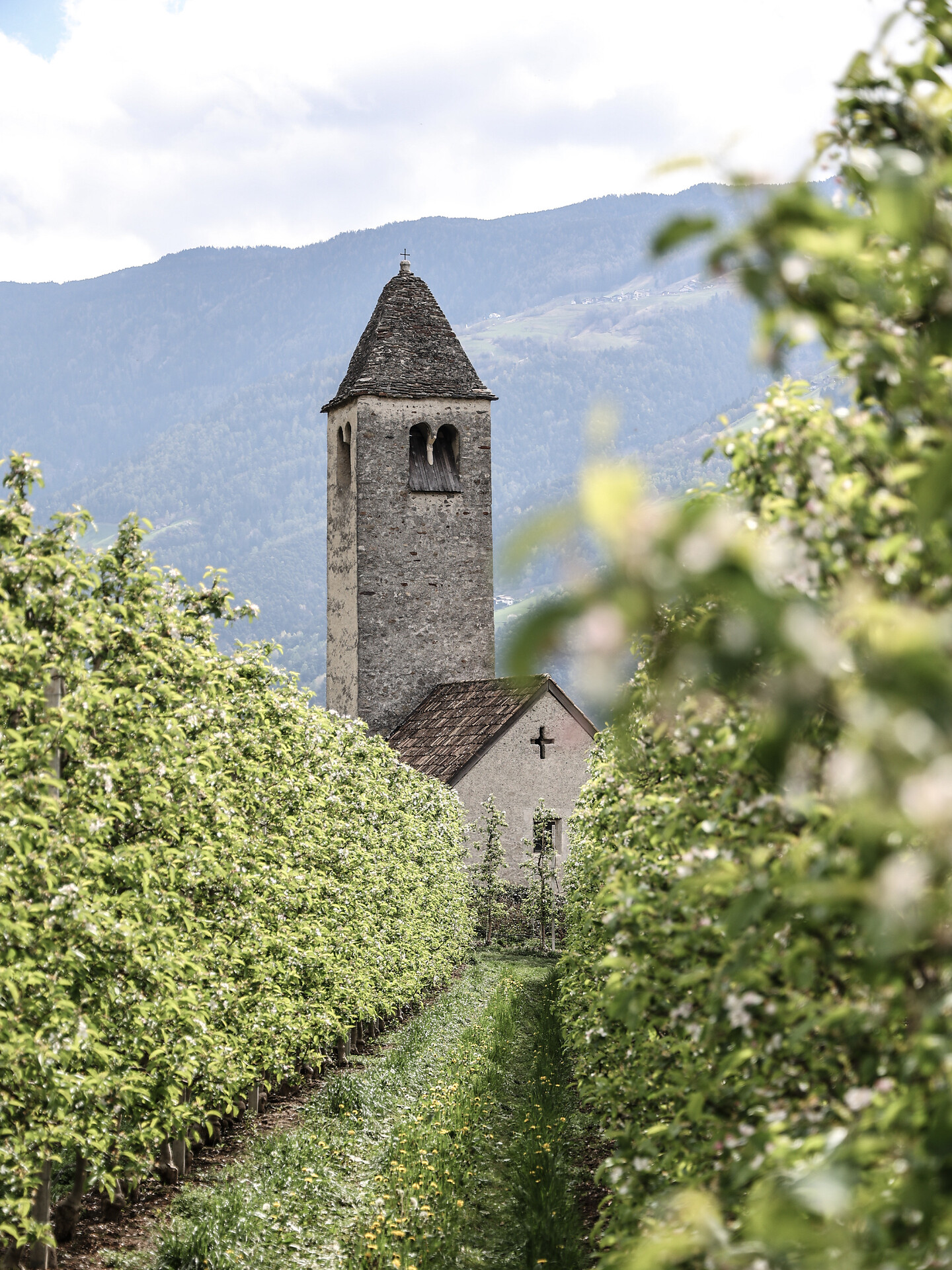 Outdoor concert: Summer sounds - Meran/Merano and environs - #2 - suedtirol.info