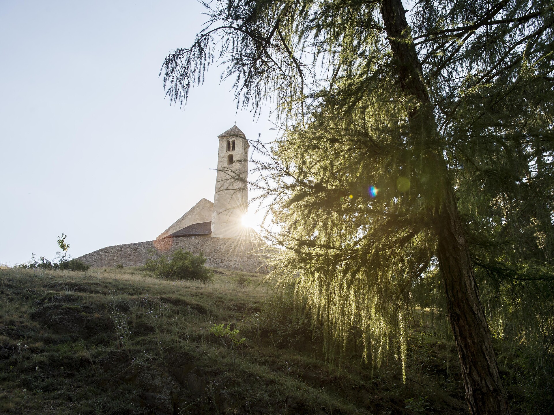 Guided tour of St Veit's Church Mals/Malles 1 suedtirol.info