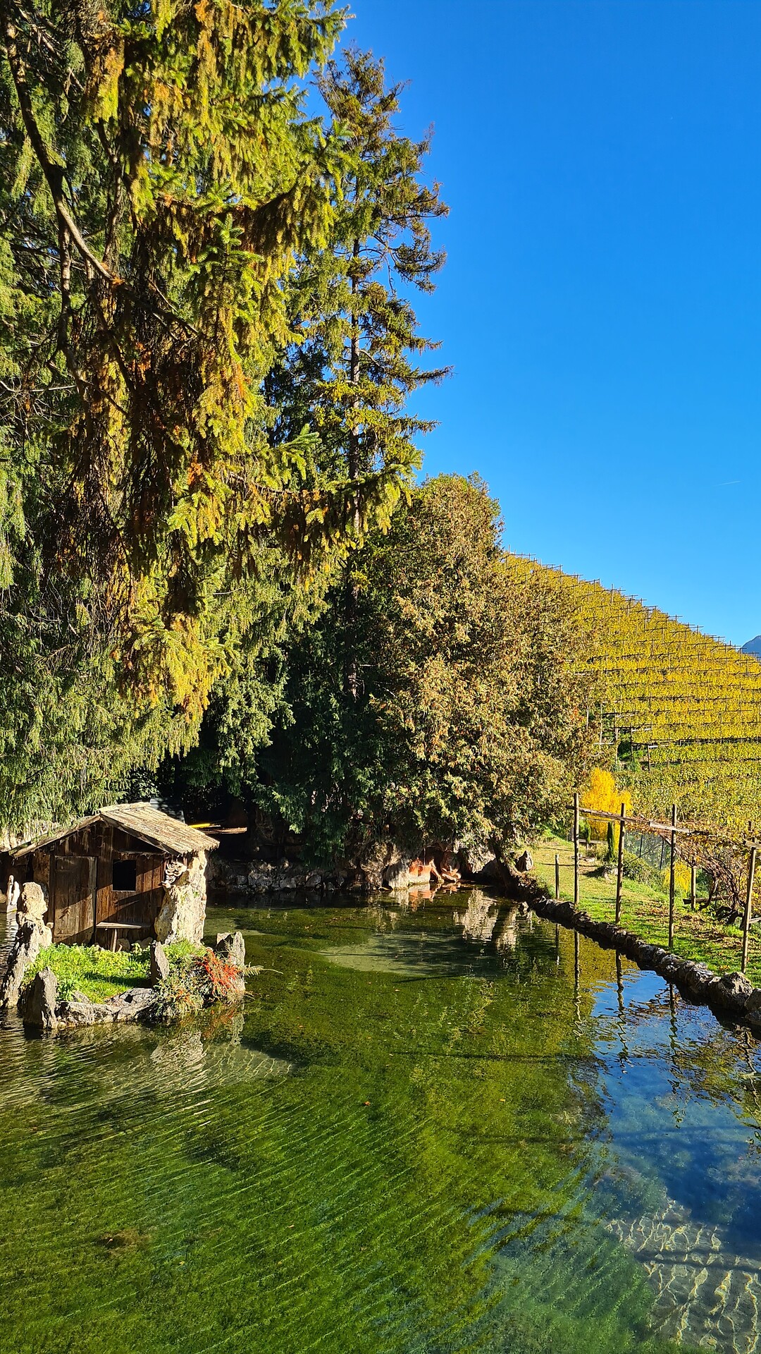 Führung durch die Parkanlage des Weingutes Tiefenbrunner - Südtiroler Weinstraße - #3 - suedtirol.info