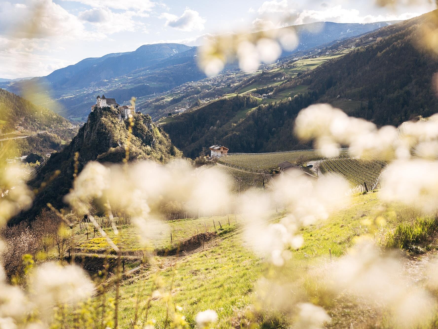 Risveglio primaverile sul Sentiero del Castagno - Bressanone e dintorni - #3 - suedtirol.info