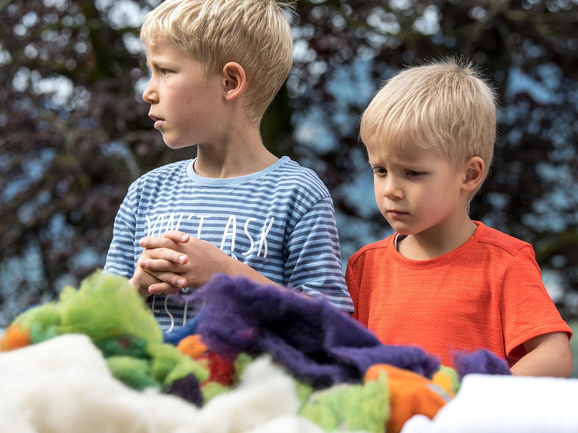 Programma per famiglie: Intrecciare una lanterna Scena 2 suedtirol.info
