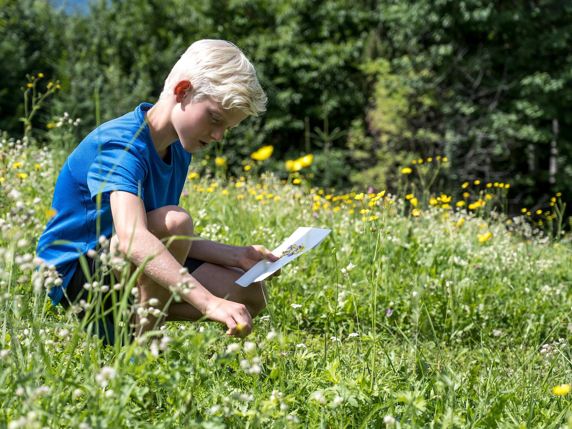 Familienprogramm: Plitsch platsch - Wasserratten aufgepasst! - Meran und Umgebung - #3 - suedtirol.info