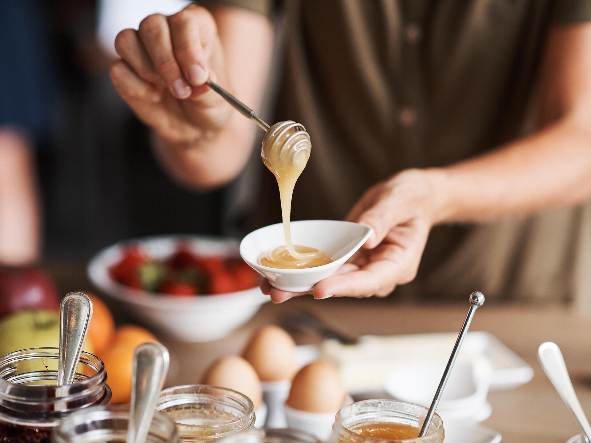 FrühlingsSchmaus & Pflanzentausch - Colazione di primavera & Scambio di piante - Merano e dintorni - #1 - suedtirol.info