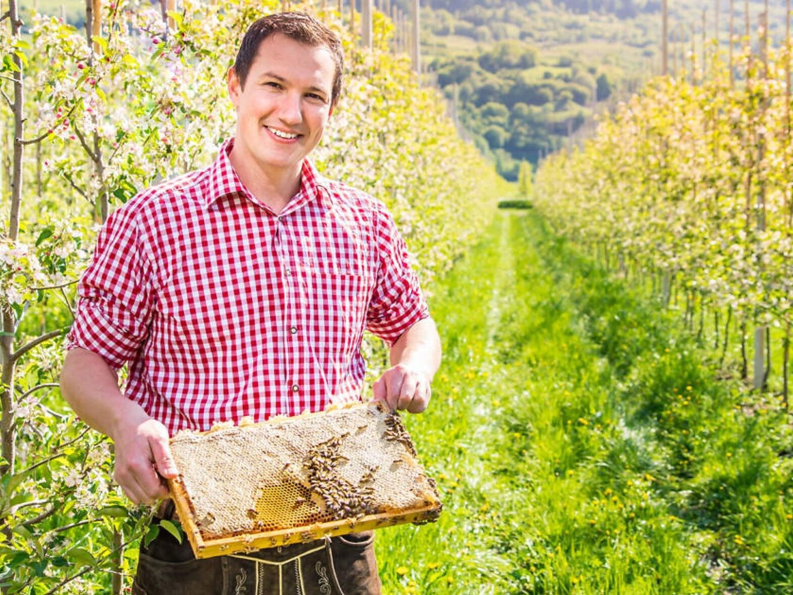 Guided tour with the beekeeper Bienenmichl - Meran/Merano and environs - #1 - suedtirol.info