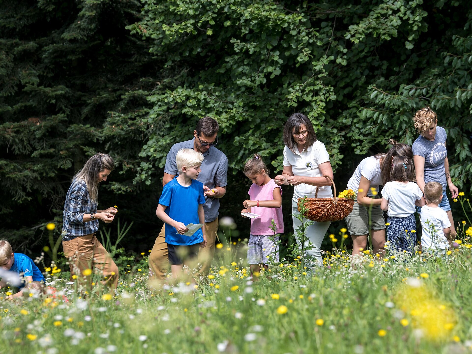 Familienprogramm: Wildkräuter – Schätze am Wegesrand - Meran und Umgebung - #2 - suedtirol.info