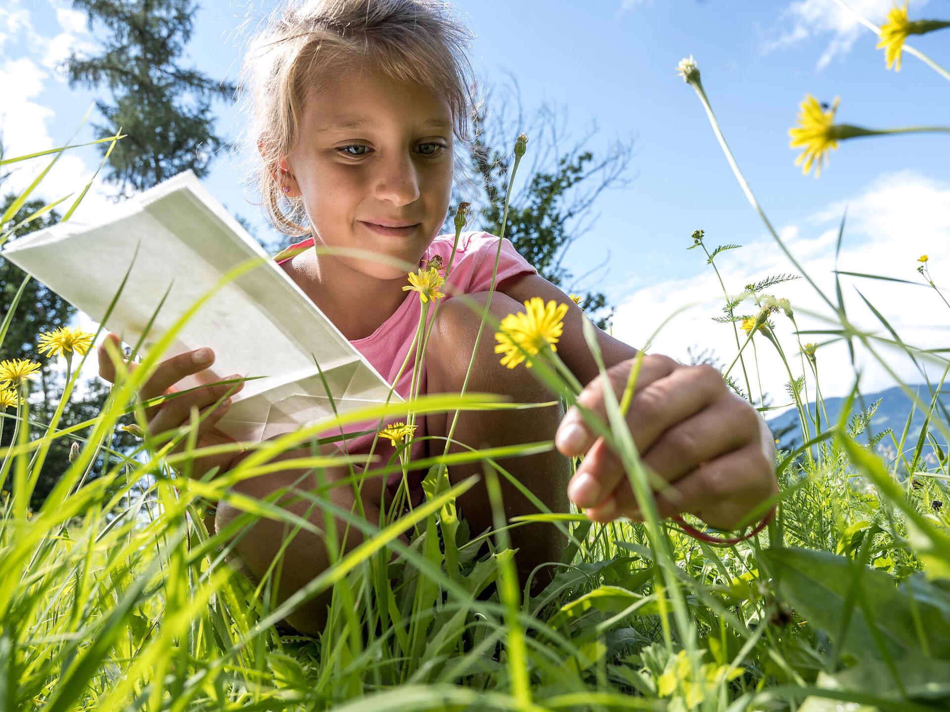 Familienprogramm: Wildkräuter – Schätze am Wegesrand - Meran und Umgebung - #3 - suedtirol.info