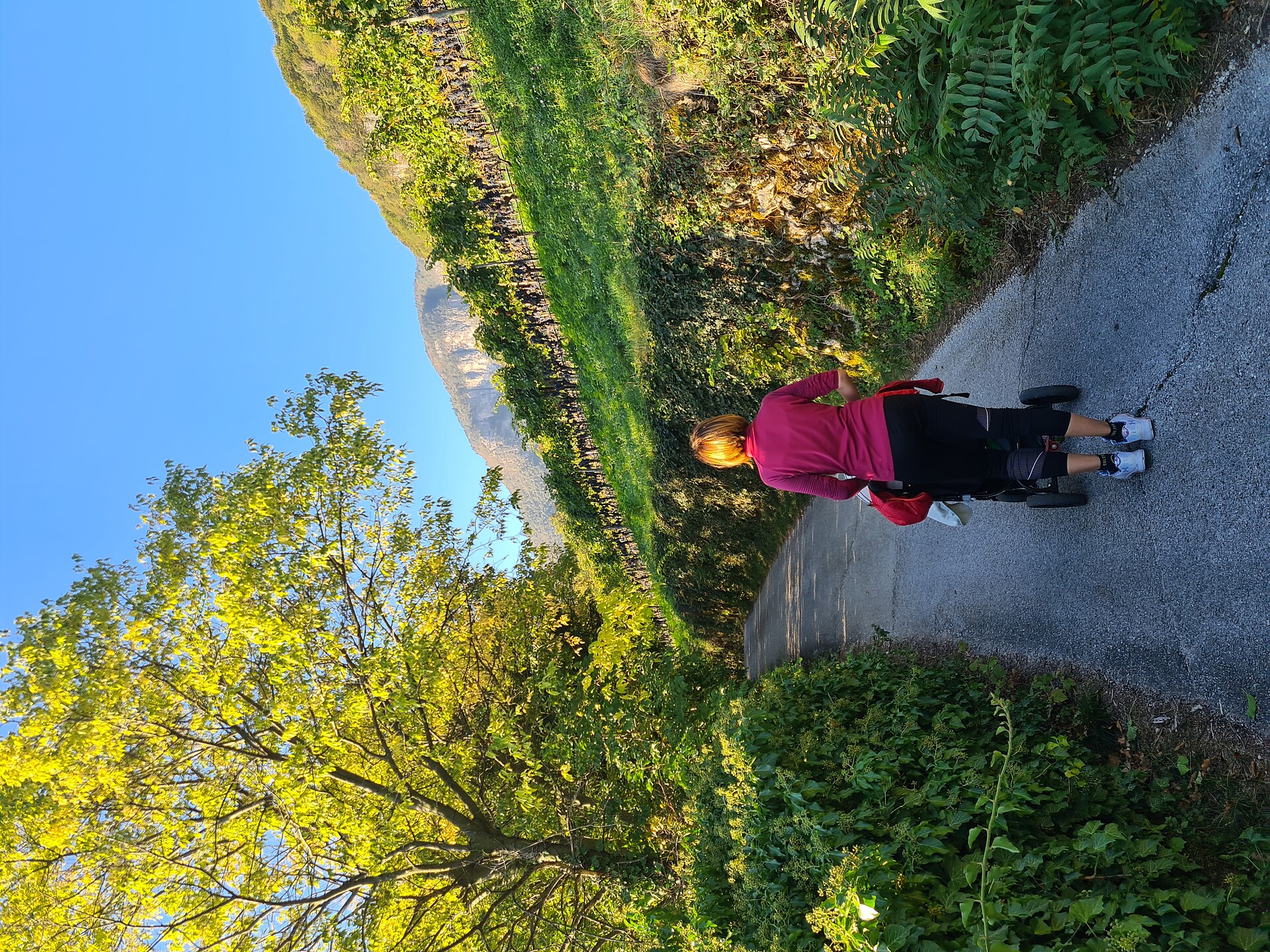 Escursione per famiglie con storie interessanti a Magrè solo in lingua tedesca - Strada del Vino - #1 - suedtirol.info