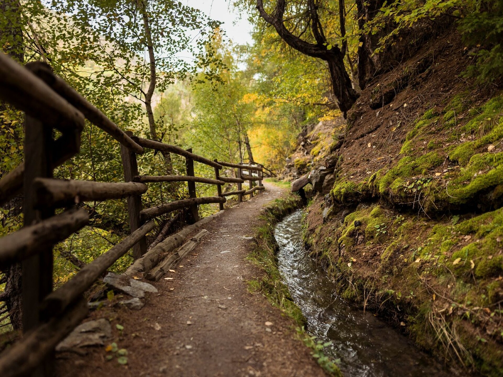 Familienwanderung am Leiten- und Berkwaal - Vinschgau - #1 - suedtirol.info