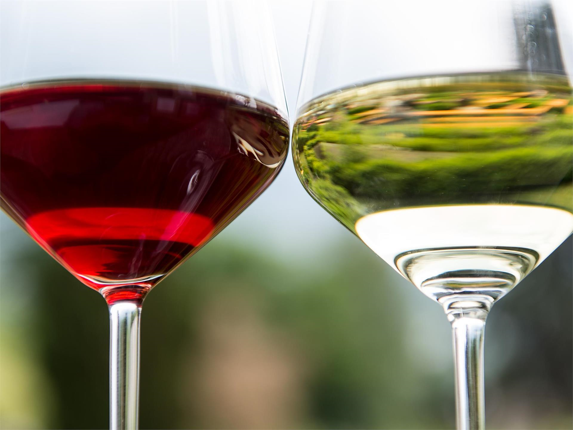 Festival of the Parcines Volunteer Fire Brigade - Meran/Merano and environs - #3 - suedtirol.info