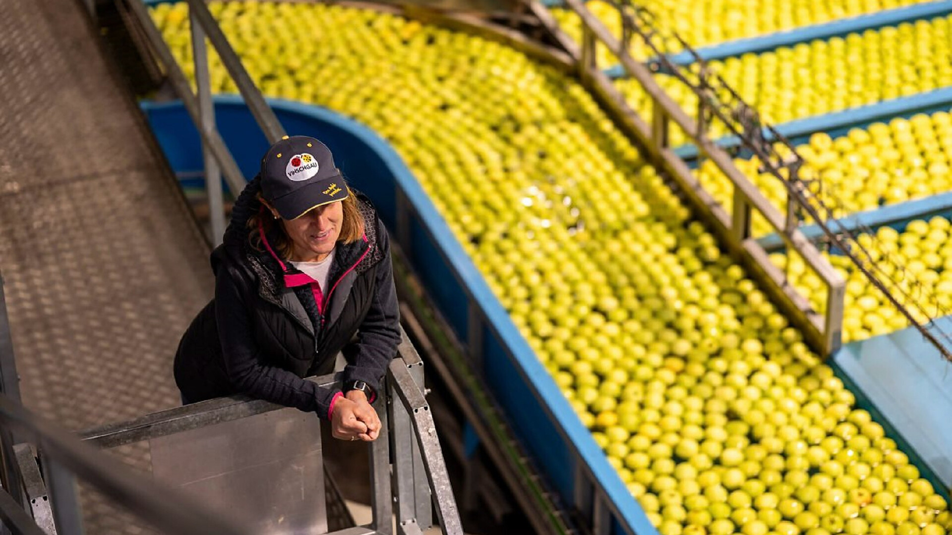 Guided tour and visit of the fruit cooperative Texel - Meran/Merano and environs - #1 - suedtirol.info