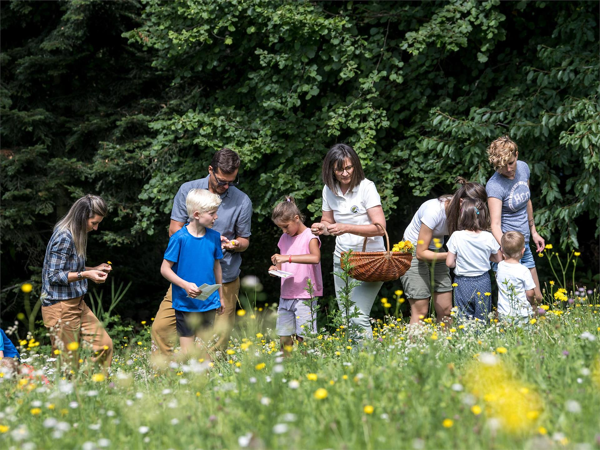 Familienprogramm: Feuerwerkstatt mit wildem Kochen Schenna 3 suedtirol.info