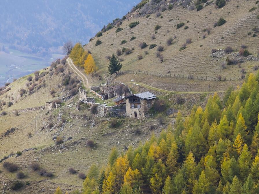 Faszination Vinschger Sonnenberg - geführte Wanderung Schlanders 2 suedtirol.info
