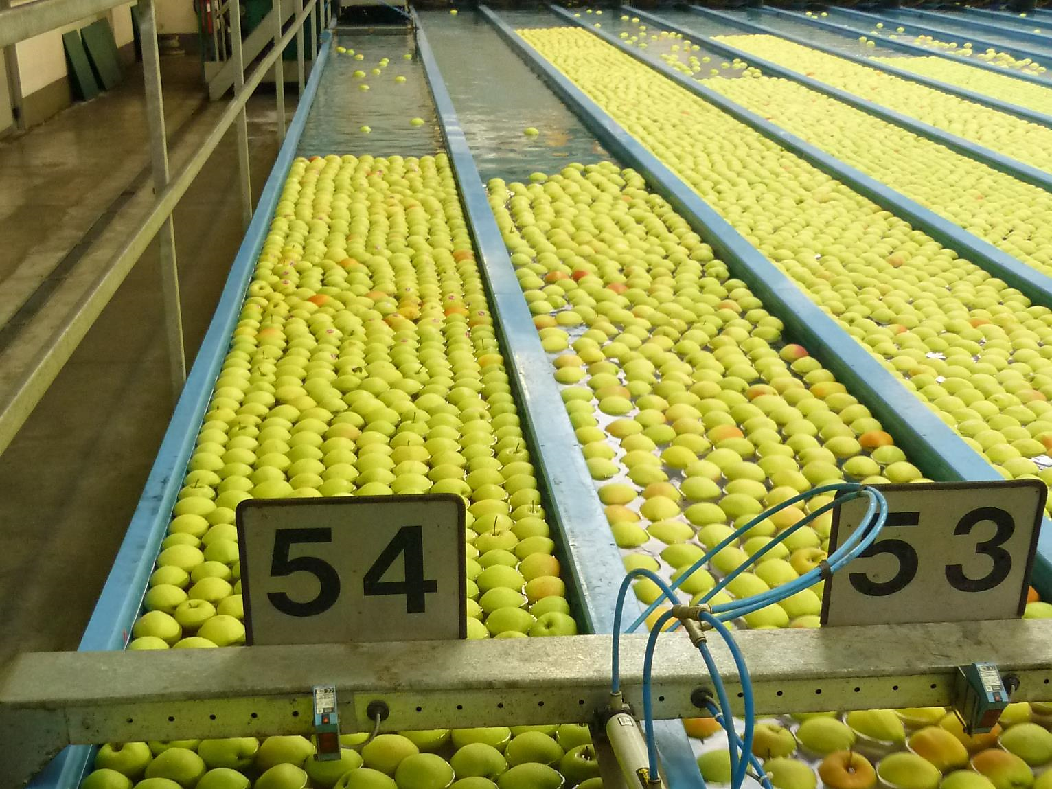 Visita guidata nella Cooperativa di frutta Texel Naturno 1 suedtirol.info