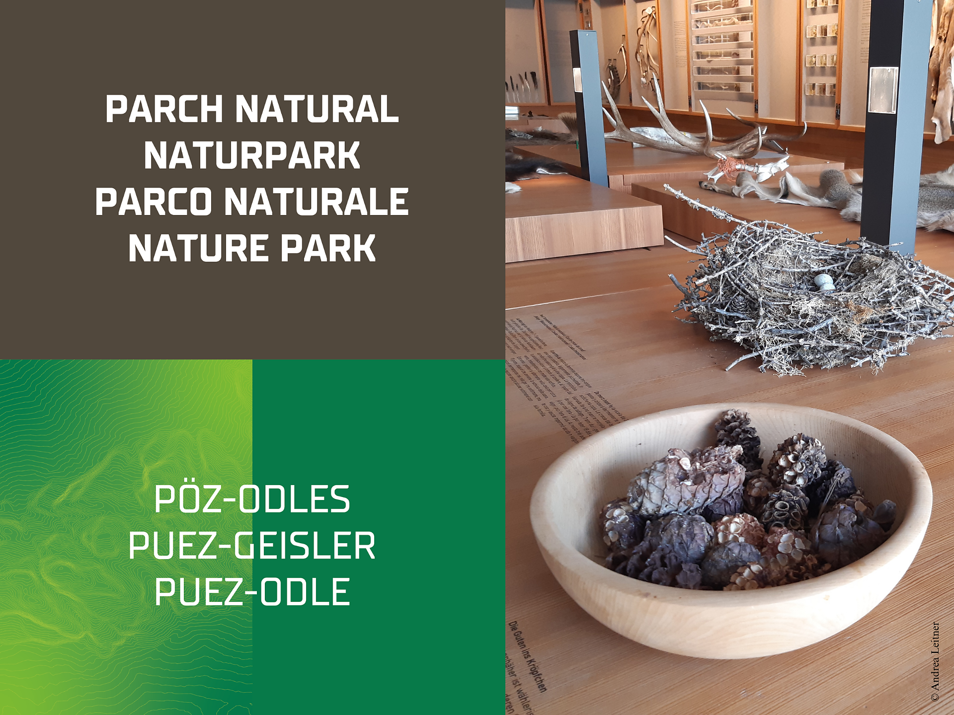 Visita guidata Centro visite Puez-Odle - Regione dolomitica Luson Val di Funes - #1 - suedtirol.info