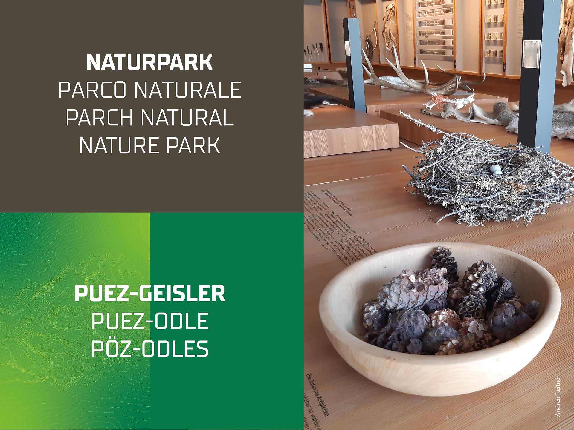 Führung durchs Naturparkhaus Puez-Geisler Villnöss 1 suedtirol.info
