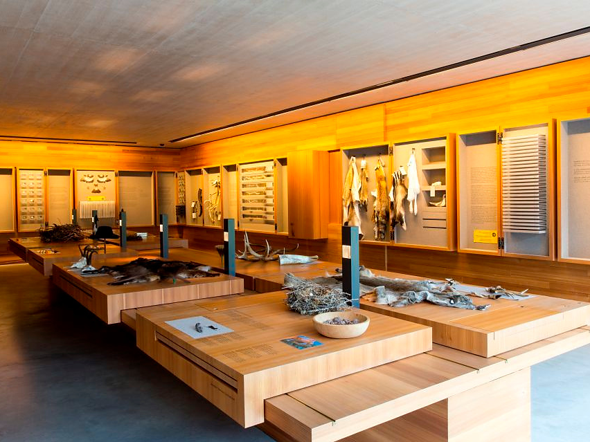 Visita guidata Centro visite Puez-Odle - Regione dolomitica Luson Val di Funes - #2 - suedtirol.info