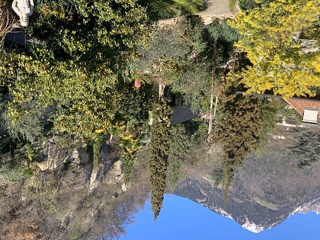 Visita guidata: Giardino privato mediterraneo Villa Tivoli Merano 1 suedtirol.info