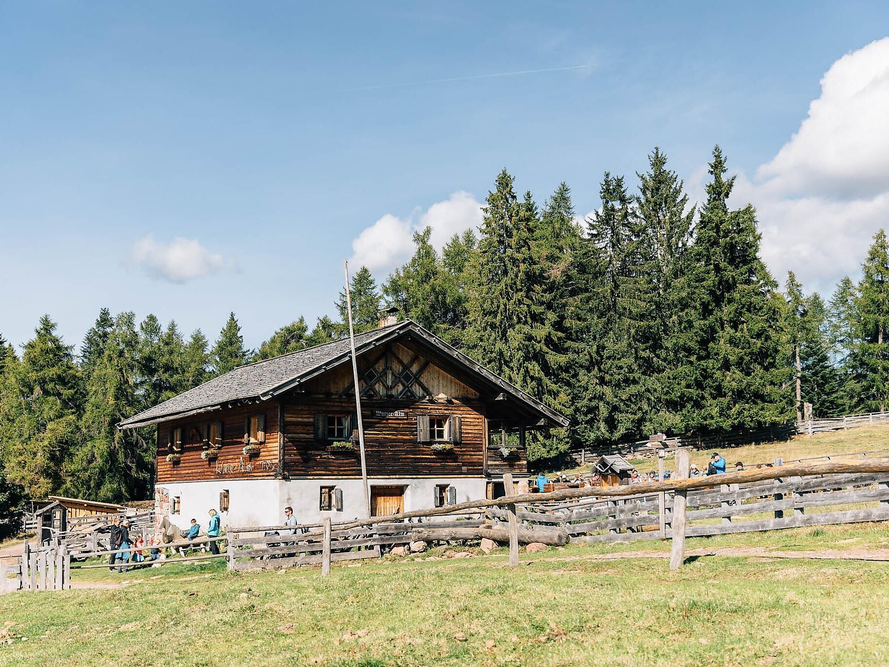 Frisch gerollt: Knödel kochen auf der Moschwaldalm Hafling 2 suedtirol.info